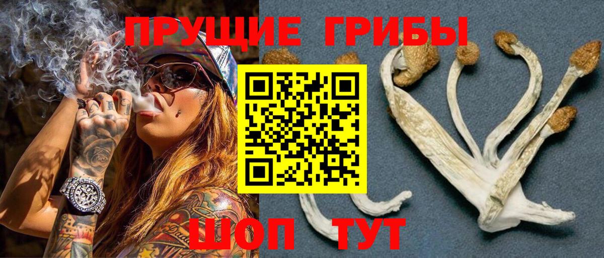 Карпинск  Псилоцибиновые грибы мухоморы  Галлюциногенные грибы GOLDEN TEACHER  Вход с VPN 